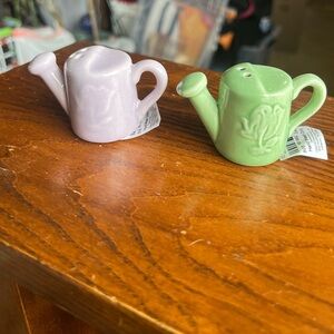 Set of Cracker Barrel Watering Can Salt and Pepper Shakers